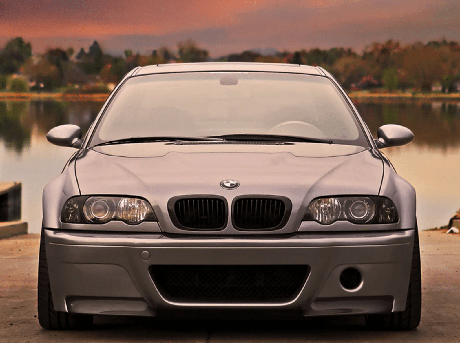 BMW Carbon Fiber Front Grilles - E46 3 Series M3 - JL Motoring