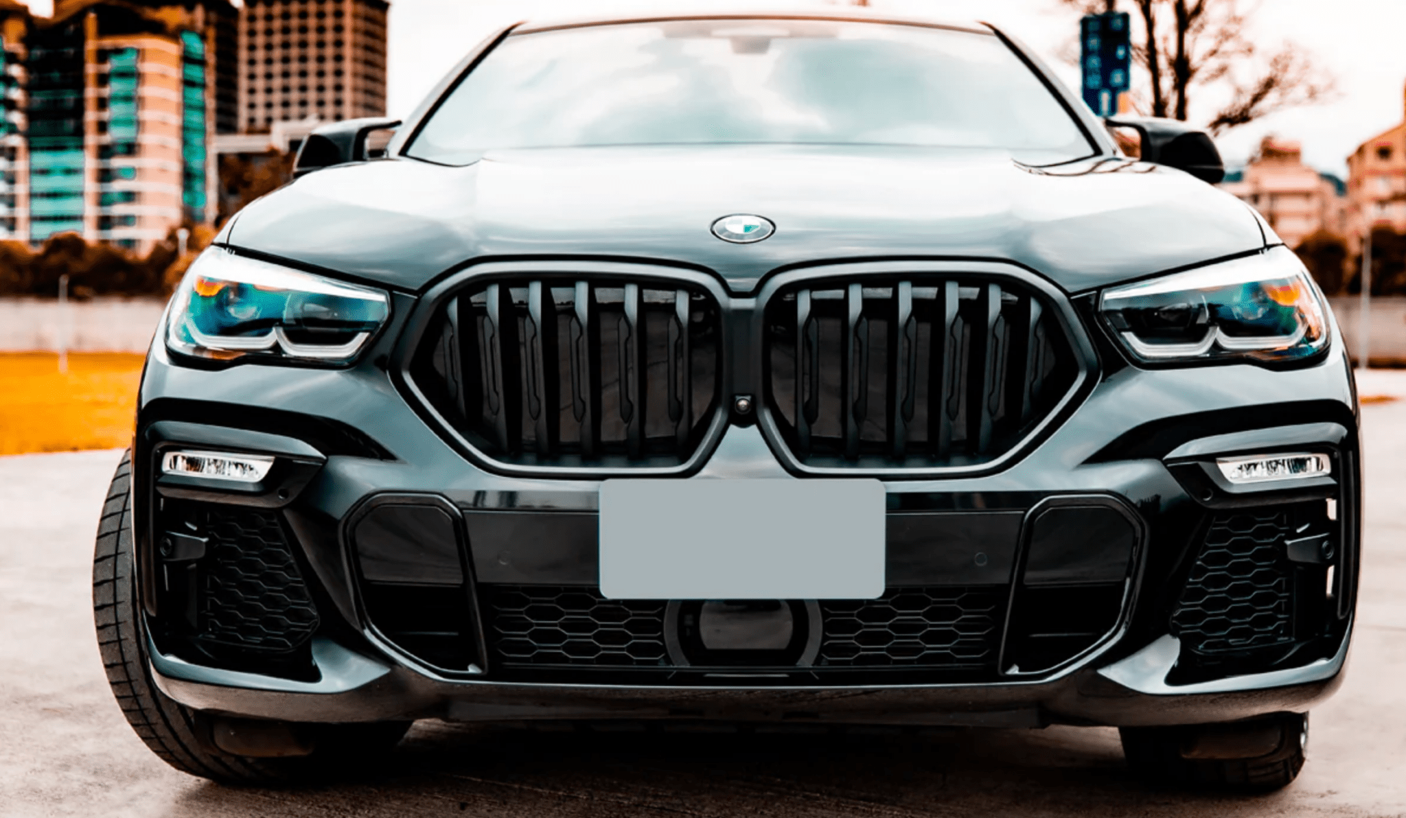 BMW G06 X6 Front Grilles - JL Motoring