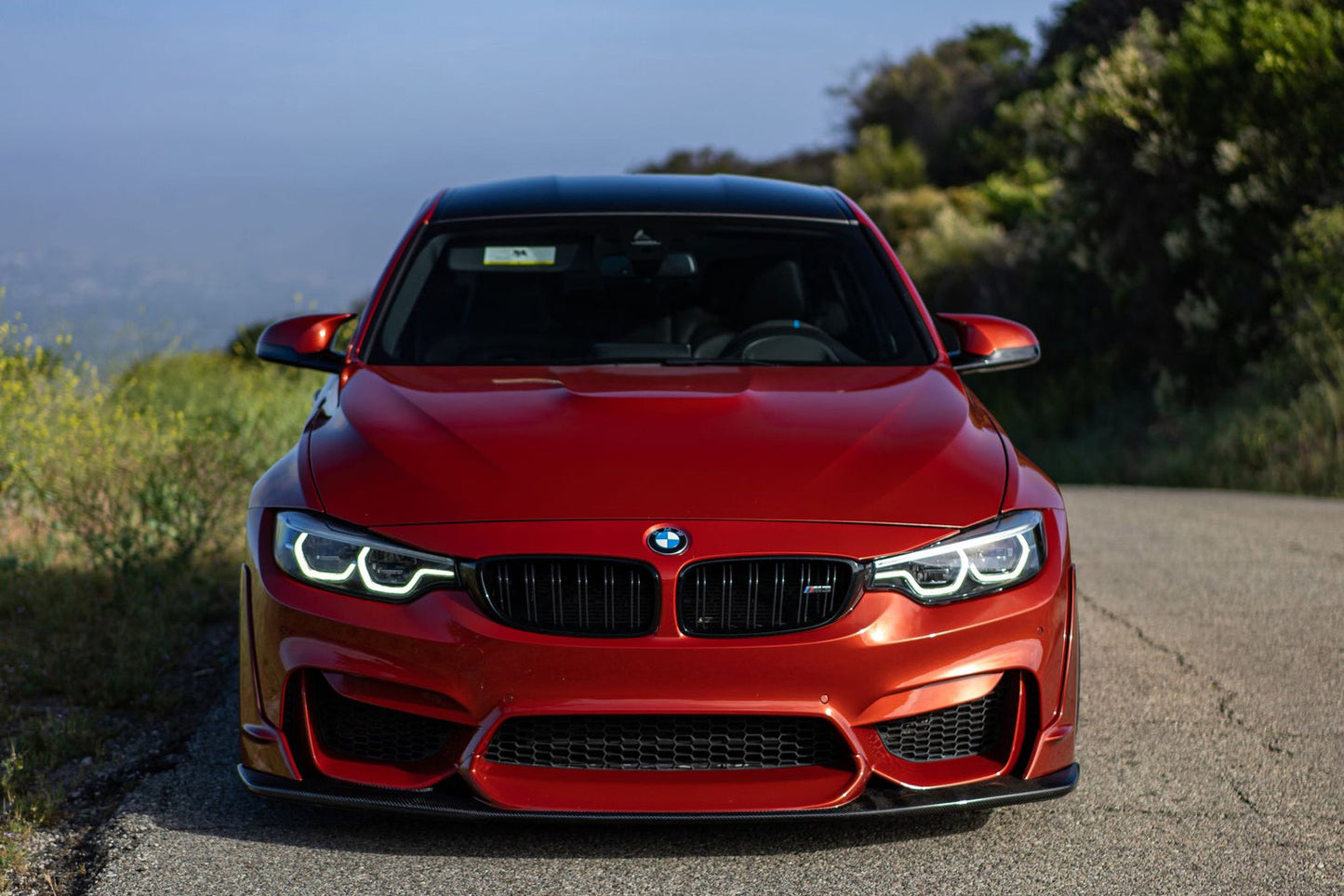 BMW F80 F82 F83 M3 M4 Carbon Fiber Front Lip