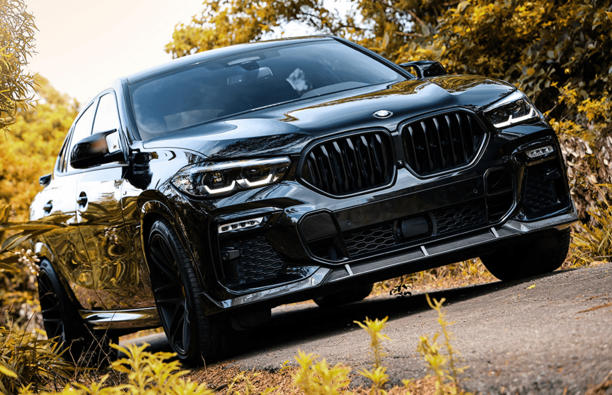 BMW G06 X6 M Sport Carbon Fiber Front Lip - JL Motoring