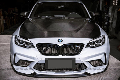 BMW F87 M2 Competition Carbon Fiber Front Lip